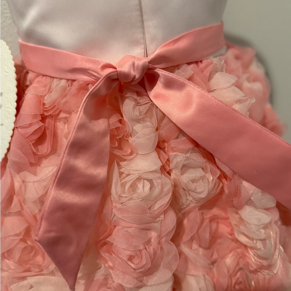 American Princess Pink Rosette Toddler Dress & hair clips - Special Event - Picture 4 of 6